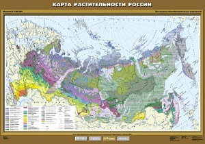 Карта растительности России