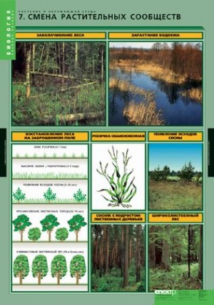 Комплект таблиц по биологии дем. "Растения и окружающая среда" 7 таблиц