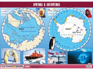 Таблица демонстрационная "Арктика и Антарктика"