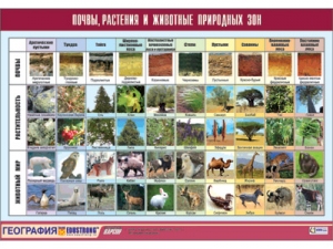 Таблица демонстрационная "Почвы, растения и животные природных зон" (винил 70x100)