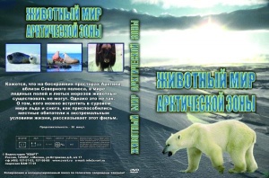 Животный мир Арктической зоны